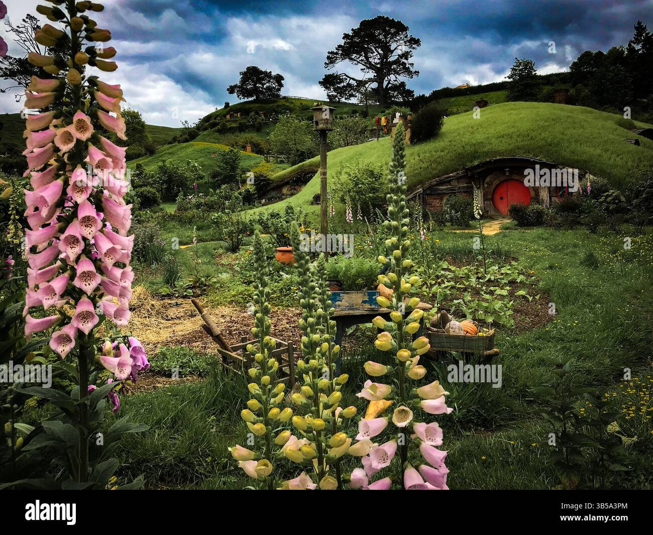 Hobbiton tour of the genuine film location and sets for the Lord of The Rings films in New Zealand Aotearoa Stock Photo