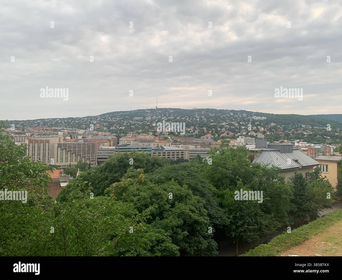 natural beauty - Smartphone Captured Stock Image