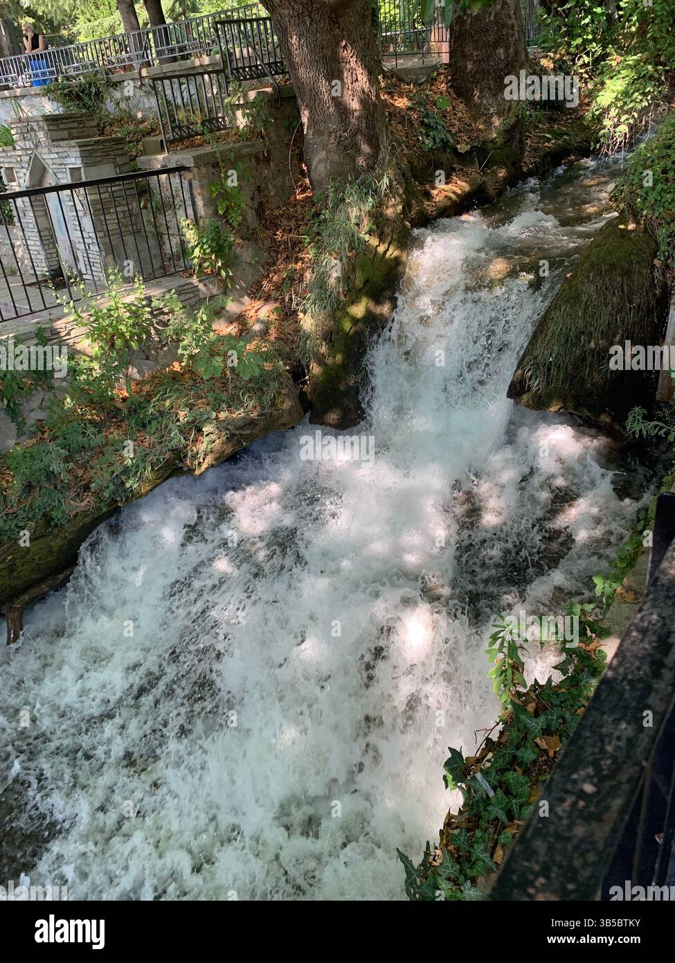 natural beauty - Smartphone Captured Stock Image