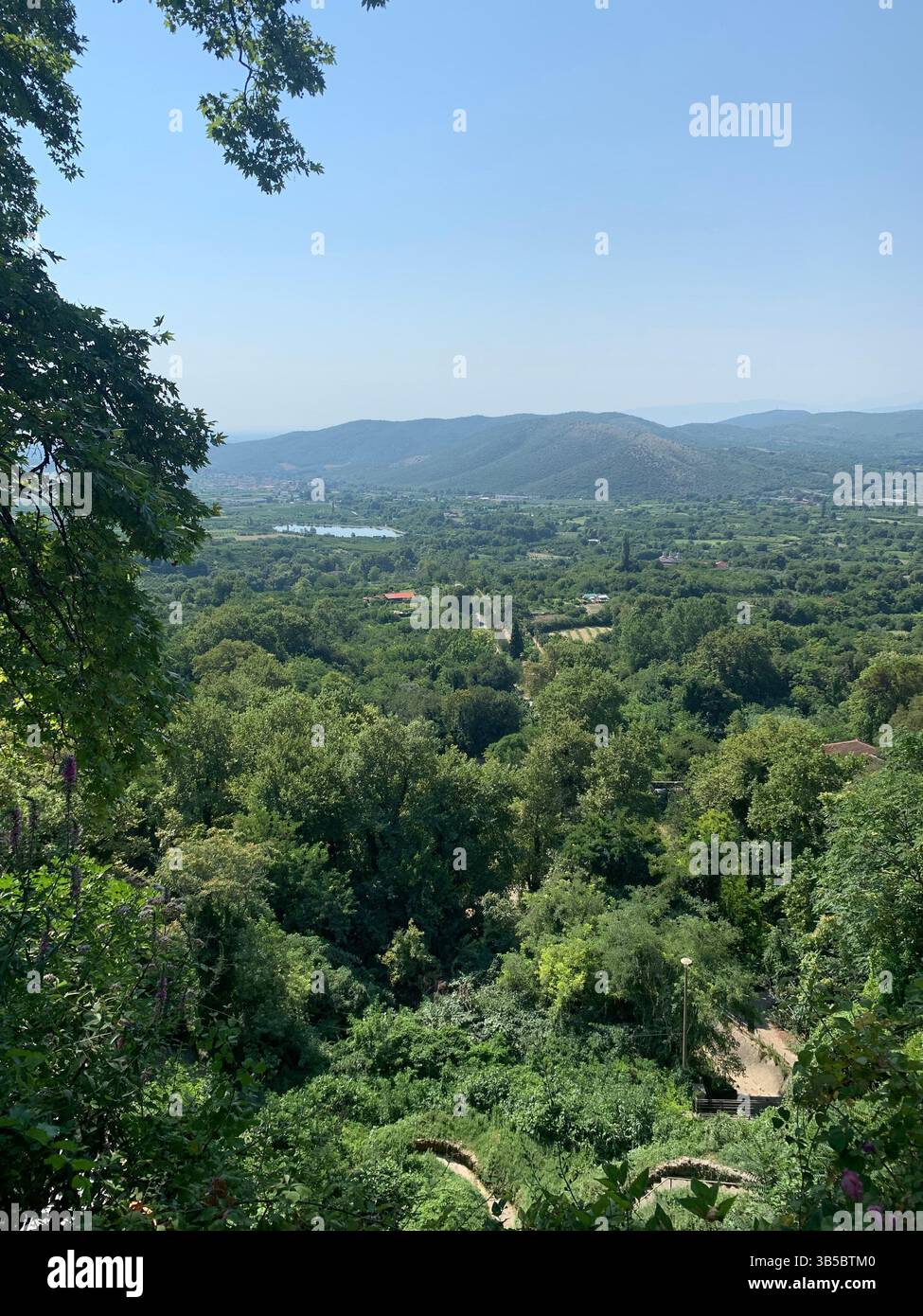 natural beauty - Smartphone Captured Stock Image