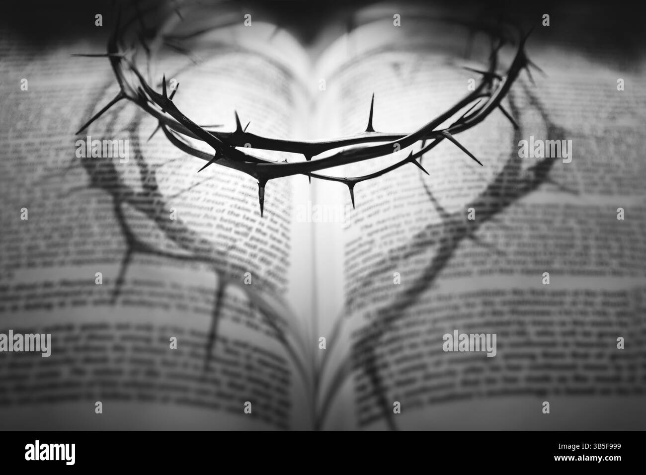 A crown of thorns symbolizing the sacrifice and suffering of Jesus ...