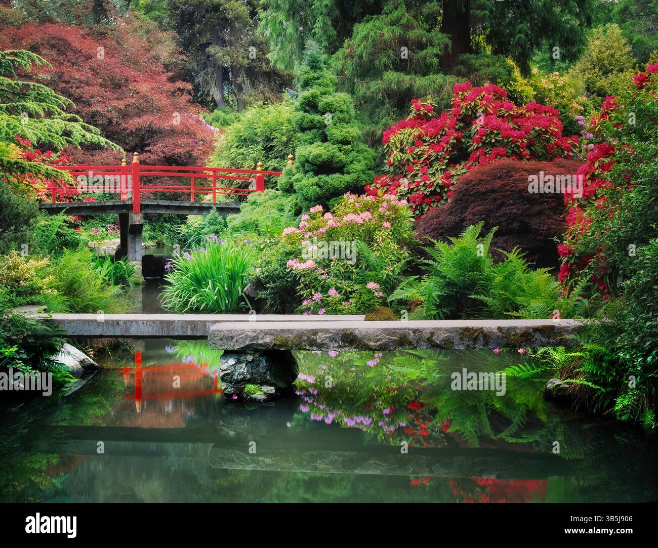 Kubota Garden and its Japanese-American heritage photo 2