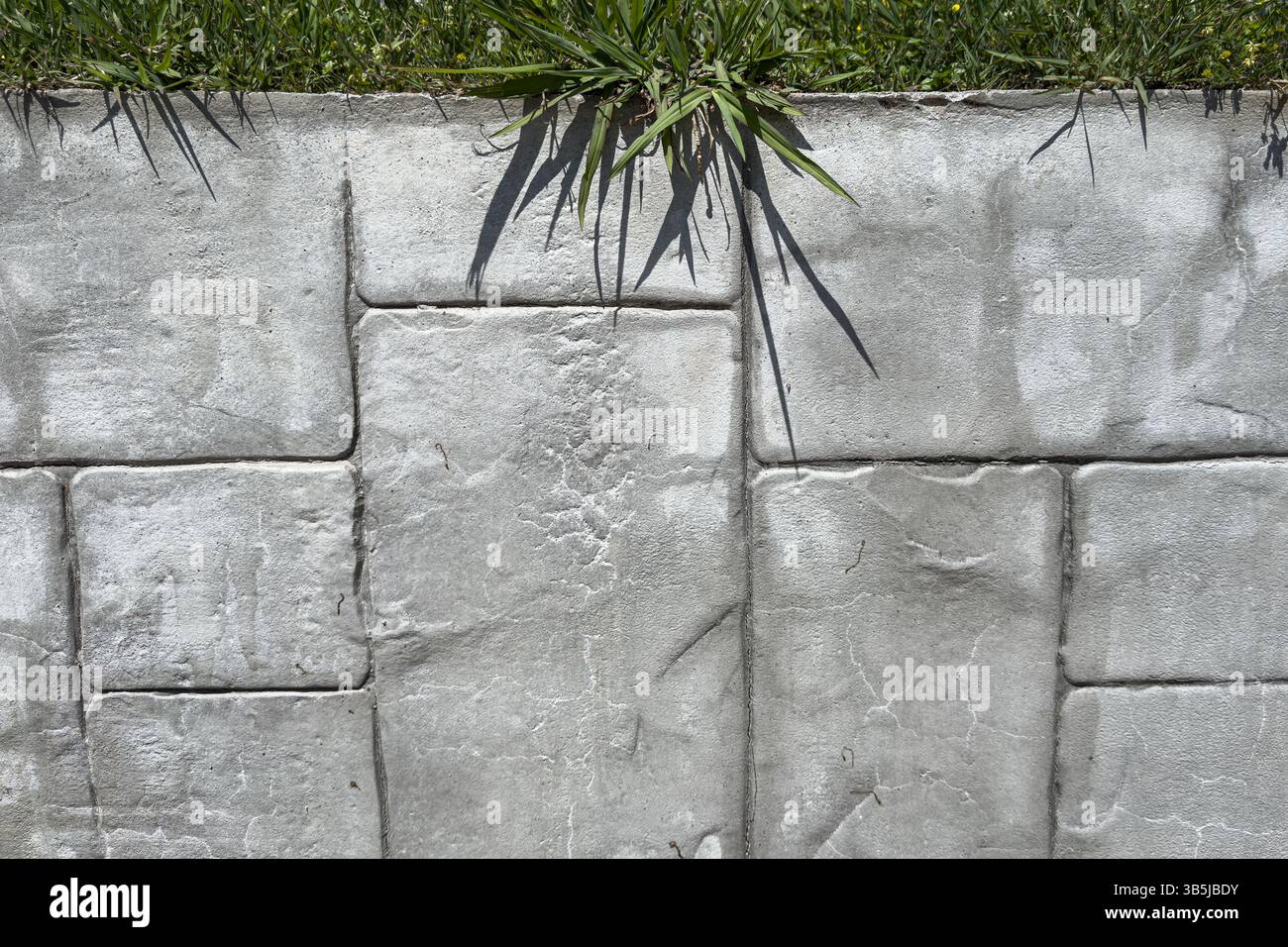 Concrete block wall with tile texture and green grass growing above. Outdoor surface, landscaping detail, no people, natural and urban contrast. - Smartphone Captured Stock Image
