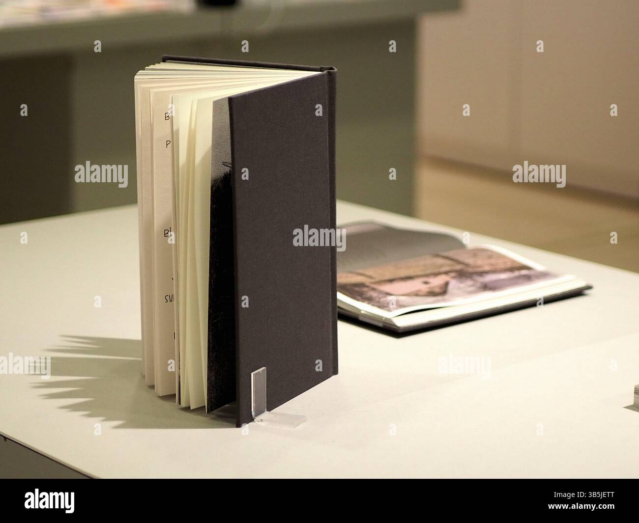 Design book on display in a minimalist gallery in Ginza, Tokyo Stock Photo