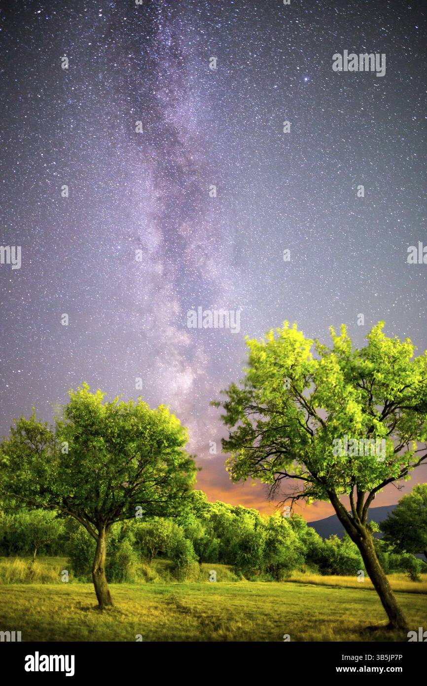 A view of the stars of the Milky Way. Green plum trees with plums high in the mountain in the foreground. Night sky nature summer landscape. Perseid M Stock Photo