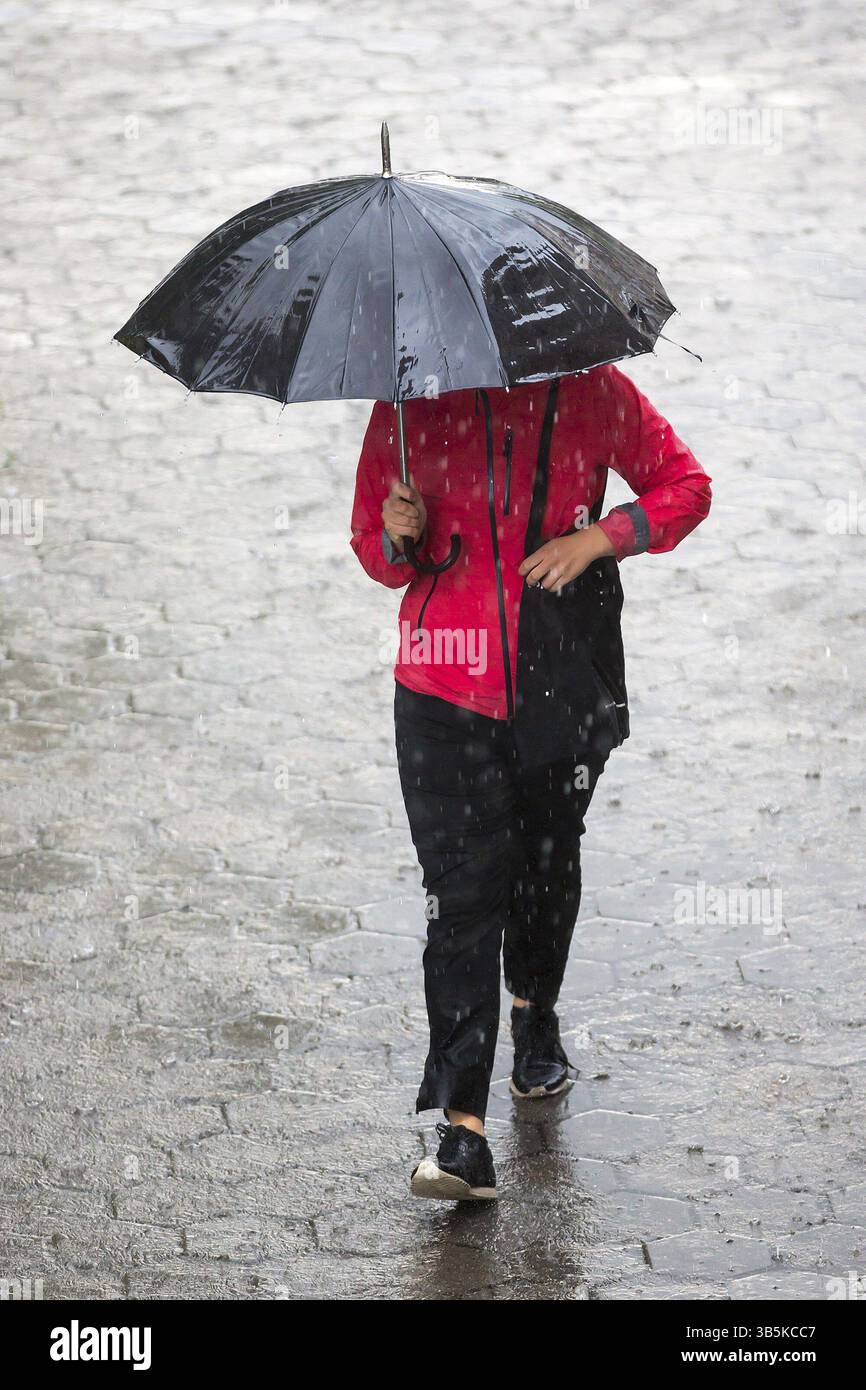 A woman runs in the rainy weather with her black umbrella. Raining like ...