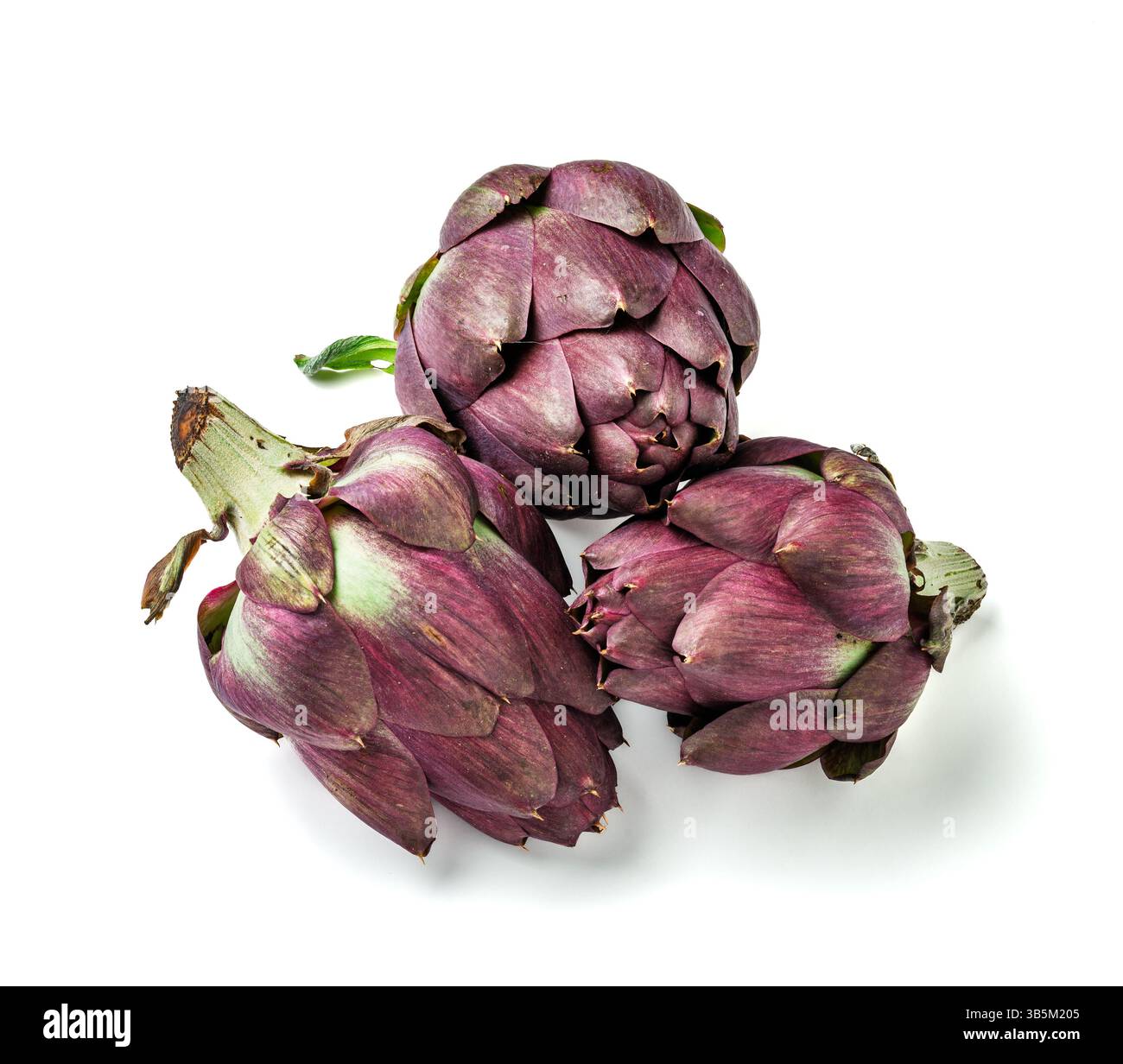 Three Cynara cardunculus scolymus artichokes, isolated on a white background Stock Photo