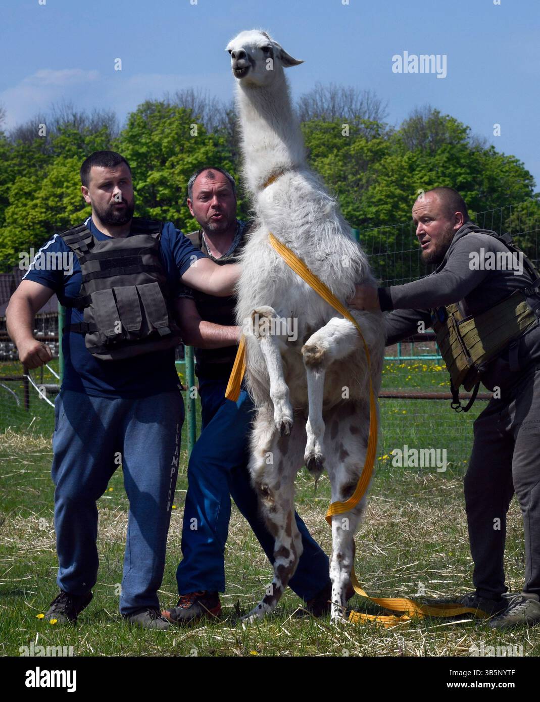 I kolesnikov hi-res stock photography and images - Alamy, image size:1069x1390