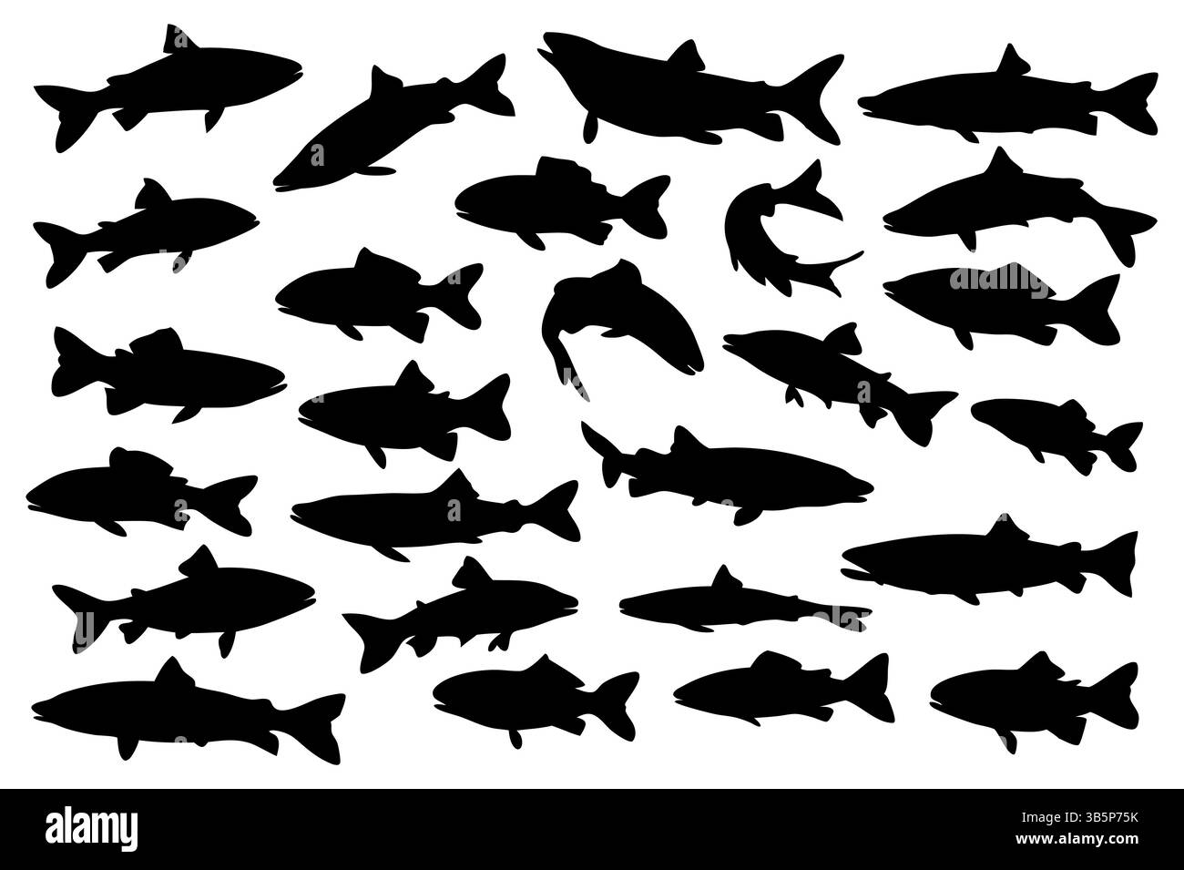 Fish icon vector set isolated on white background Fish group swim curve ...