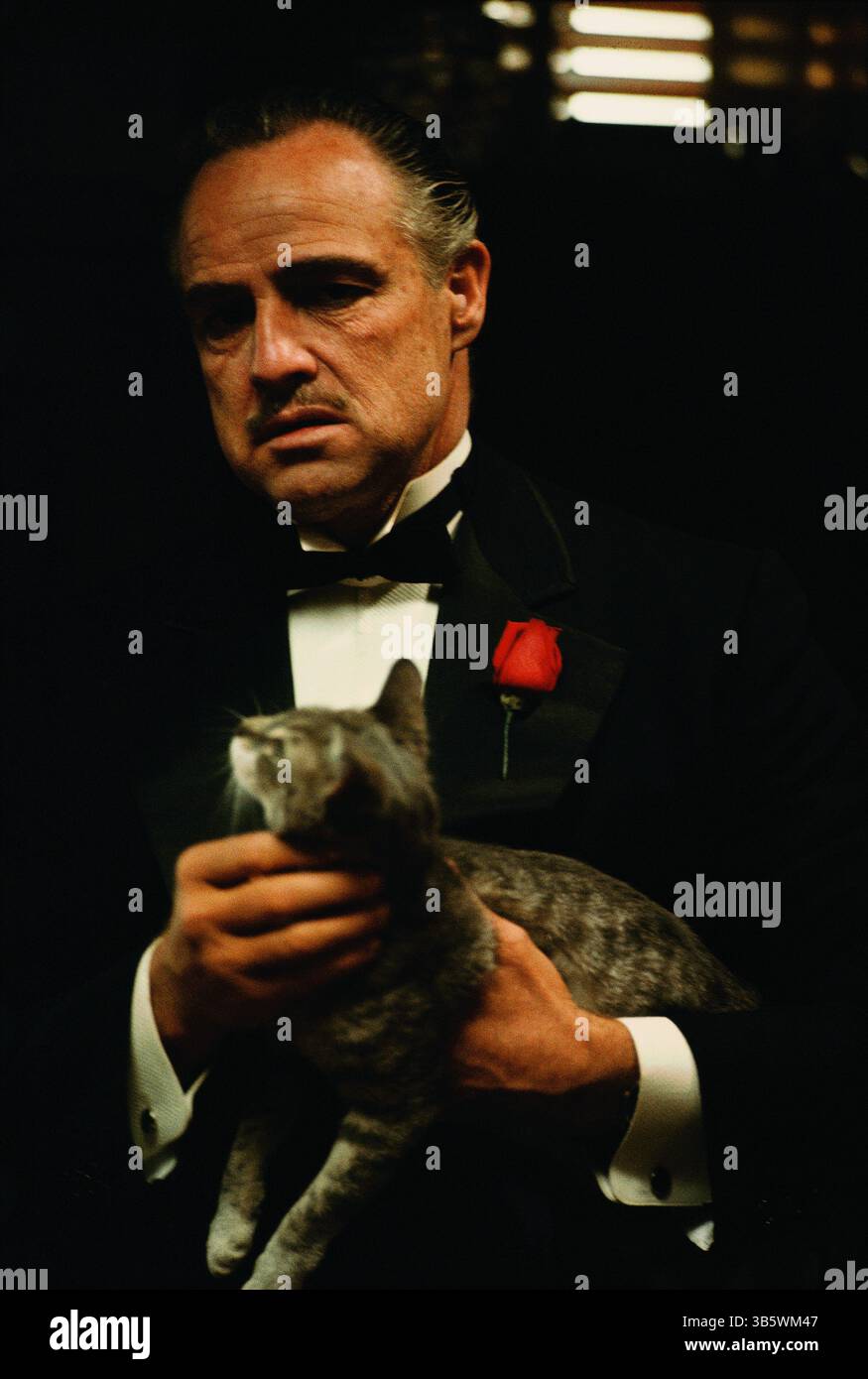 The Godfather 1972 Marlon Brando As Don Vito Corleone Filmstill the-godfather-1972-marlon-brando-as-don-vito-corleone-filmstill