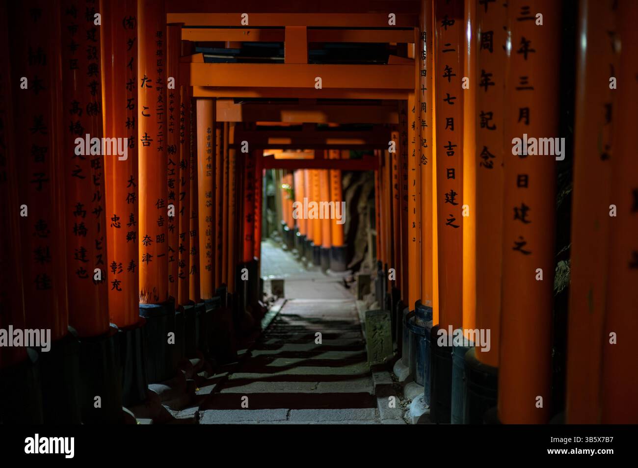 Night view of the famous torii gate path at Fushimi Inari Shrine in ...