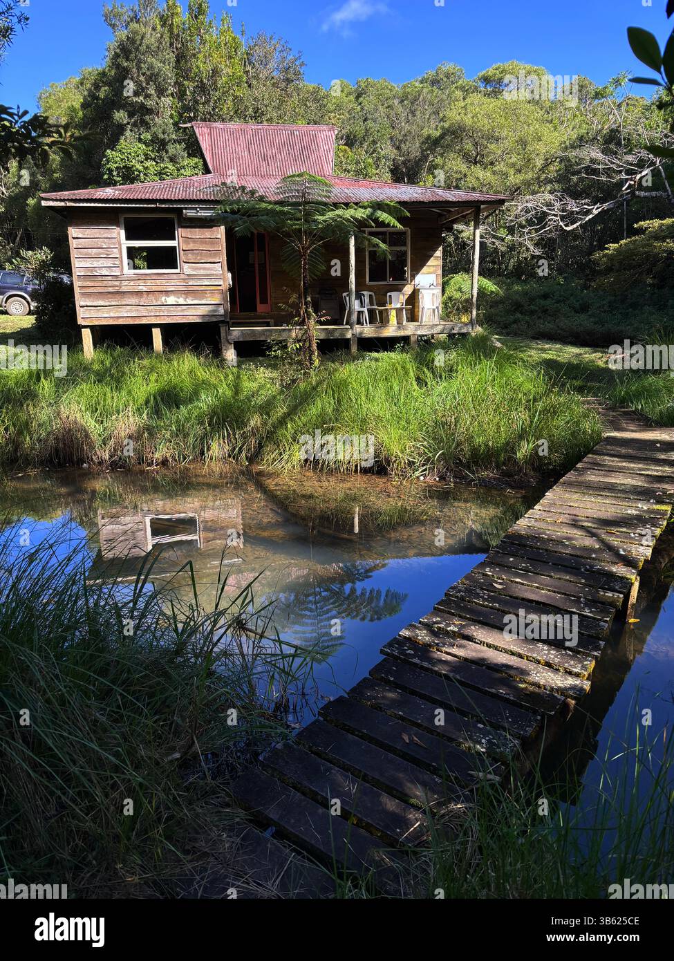 Old timber slab hut in the rainforest, near Ravenshoe, Queensland, Australia. No PR - Smartphone Captured Stock Image