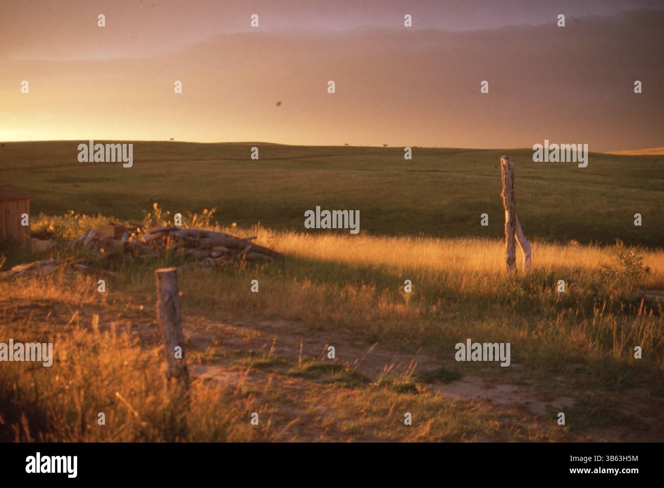 Pine ridge reservation road hi-res stock photography and images - Alamy