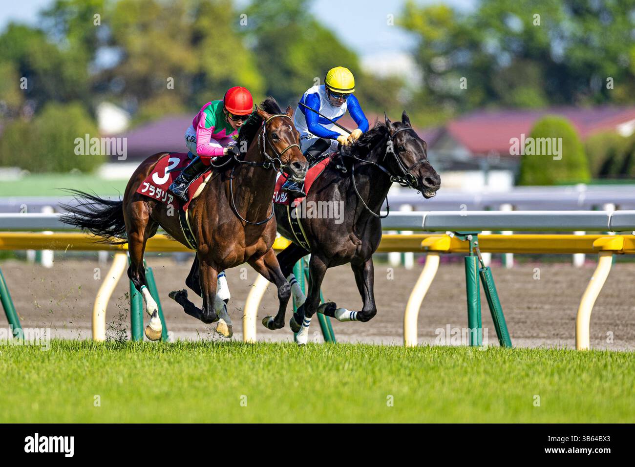 Ikezoe hi-res stock photography and images - Alamy