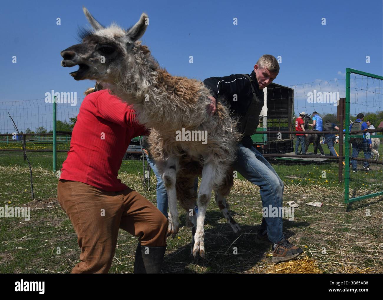 H i feldman hi-res stock photography and images - Alamy, image size:1300x1020