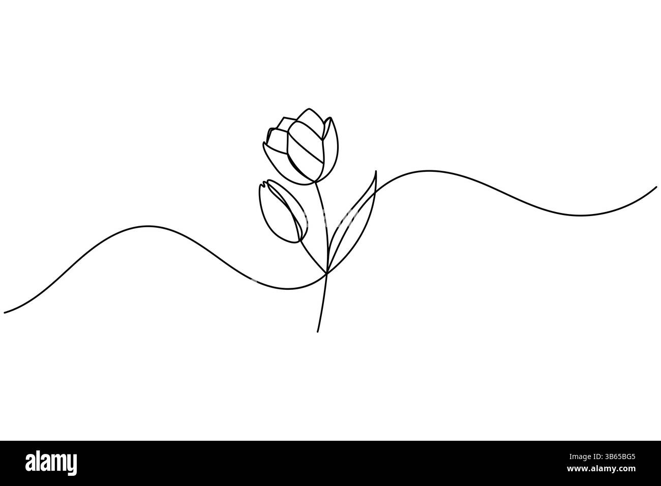 Tulip flower continuous one line drawing and minimalist style isolate ...