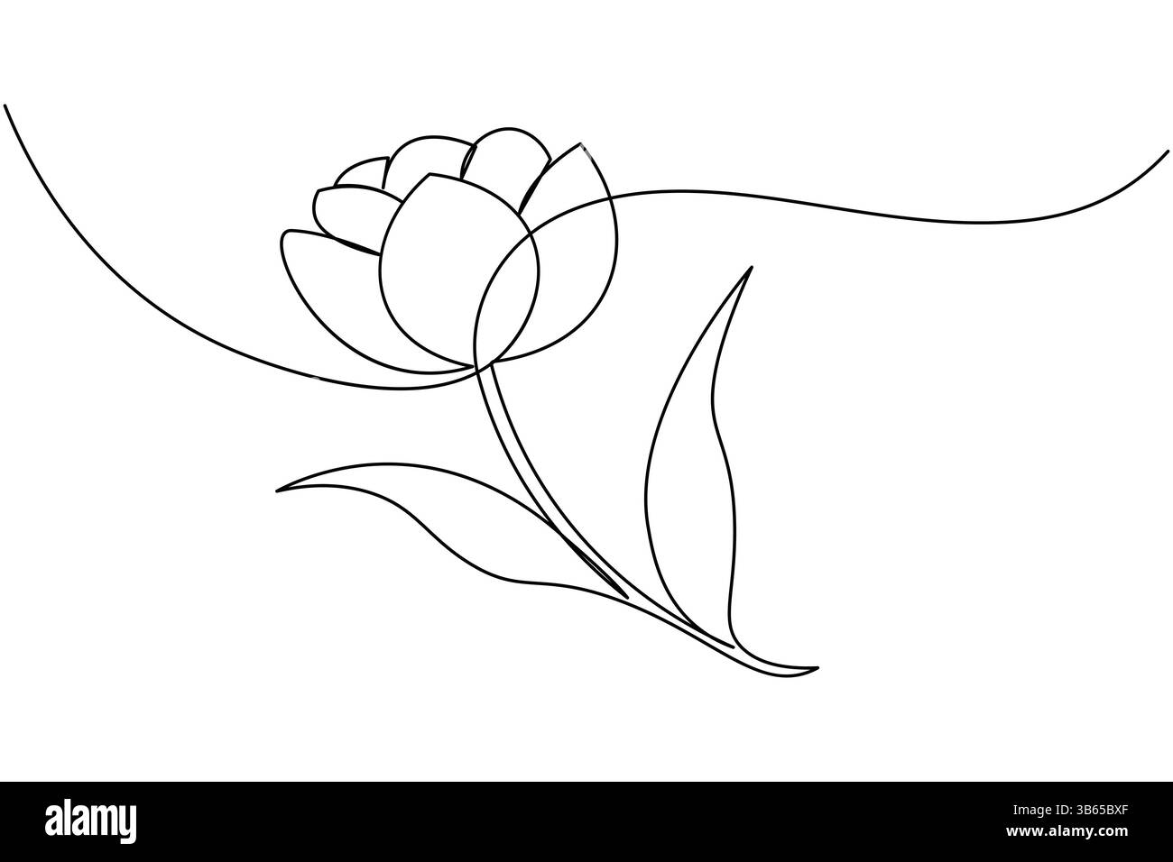 Tulip flower continuous one line drawing and minimalist style isolate ...