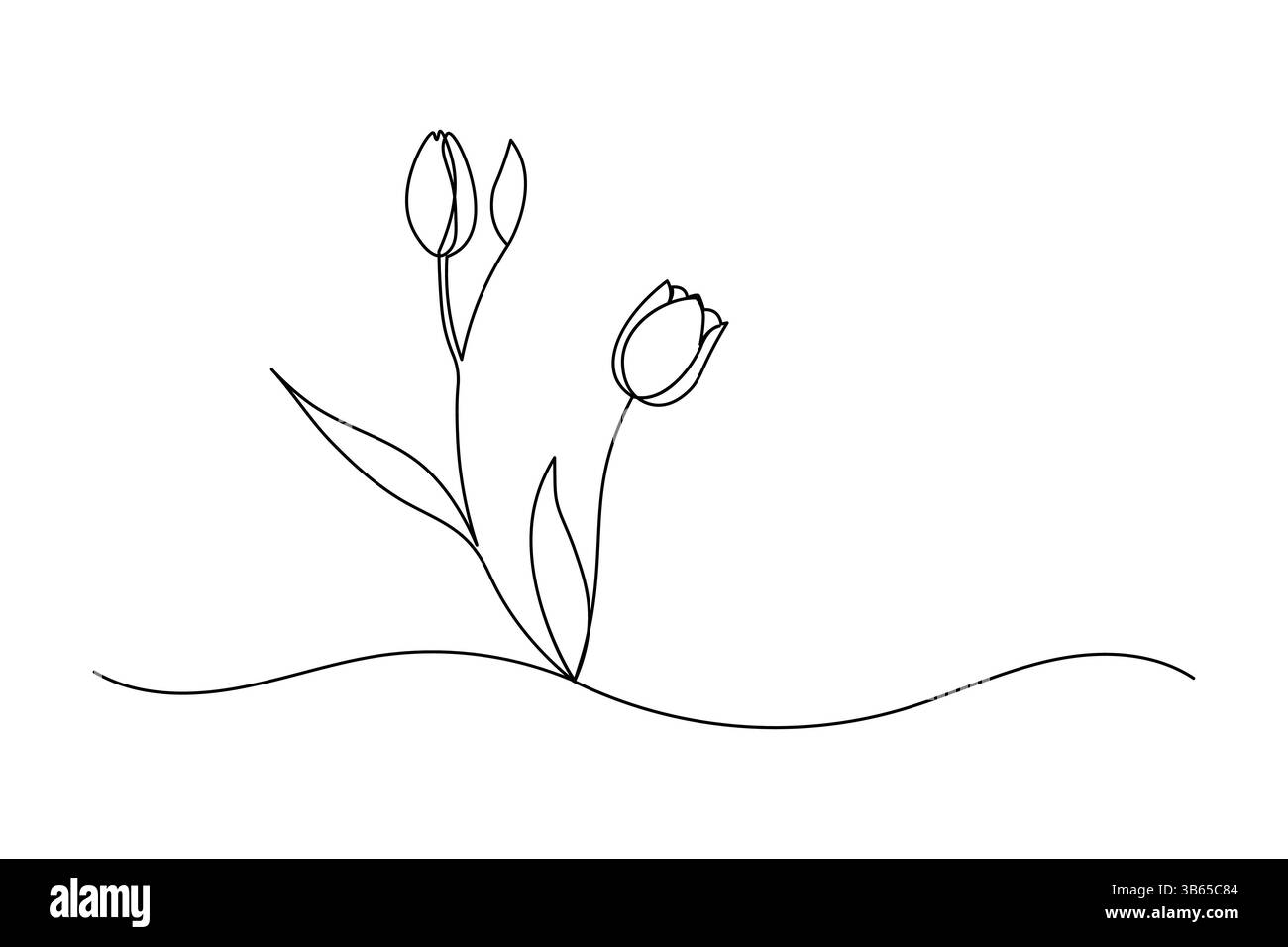 Tulip flower continuous one line drawing and minimalist style isolate ...