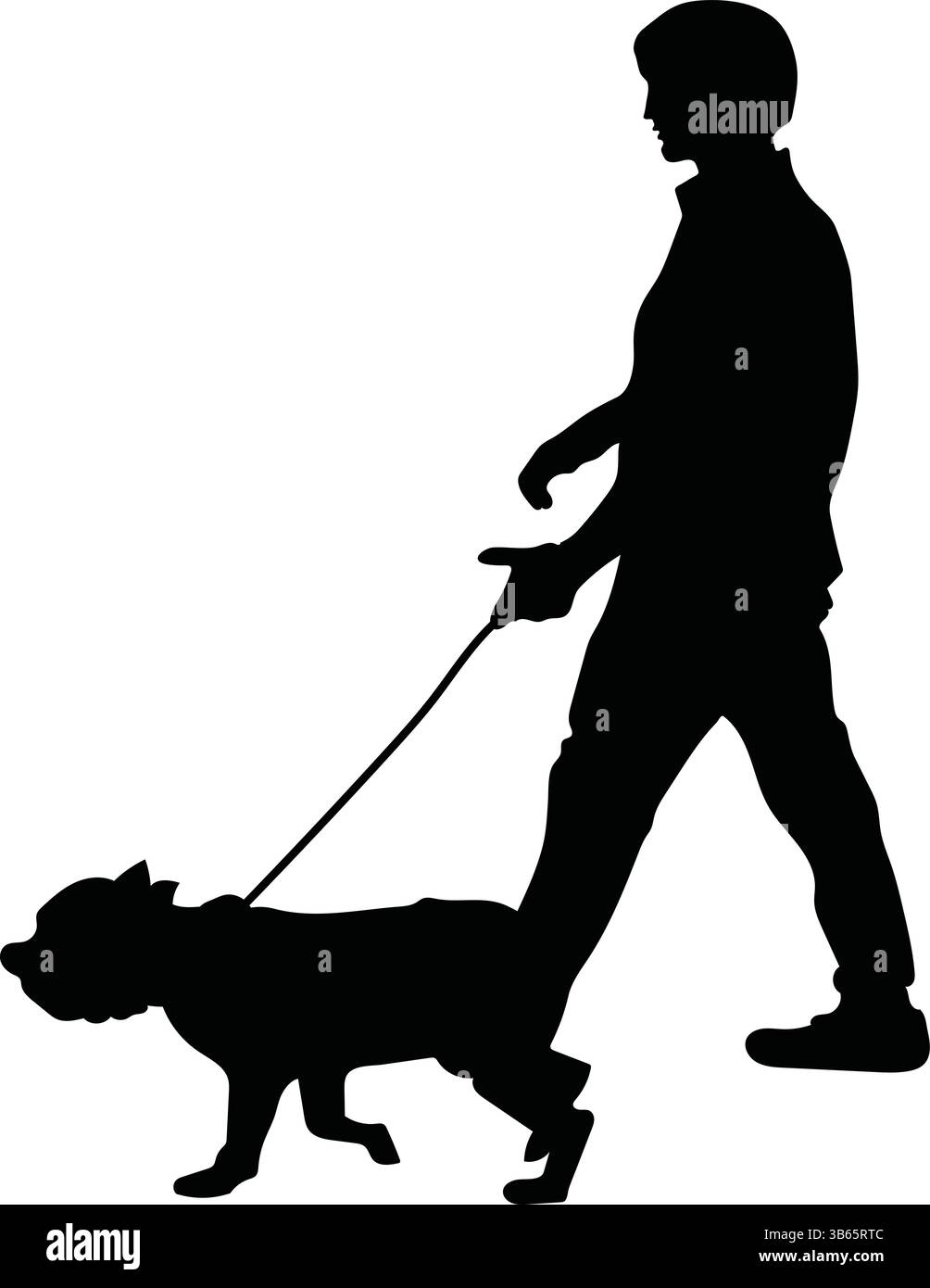 Silhouette of Man Walking Dog on Leash Stock Vector