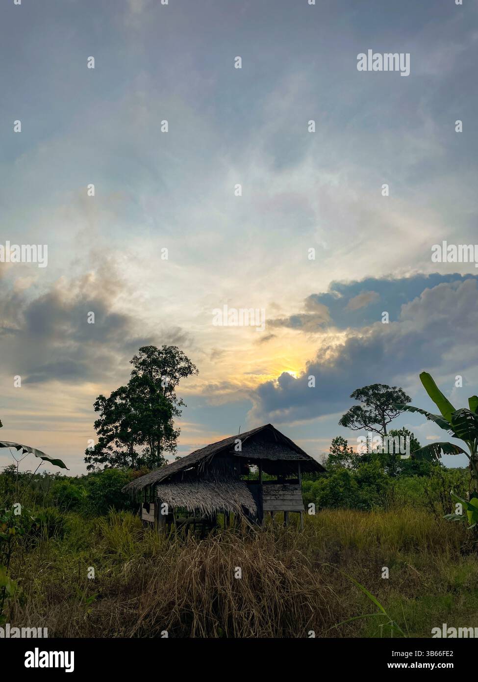 Traditional Wooden Hut in Tropical Countryside at Sunset - Smartphone Captured Stock Image