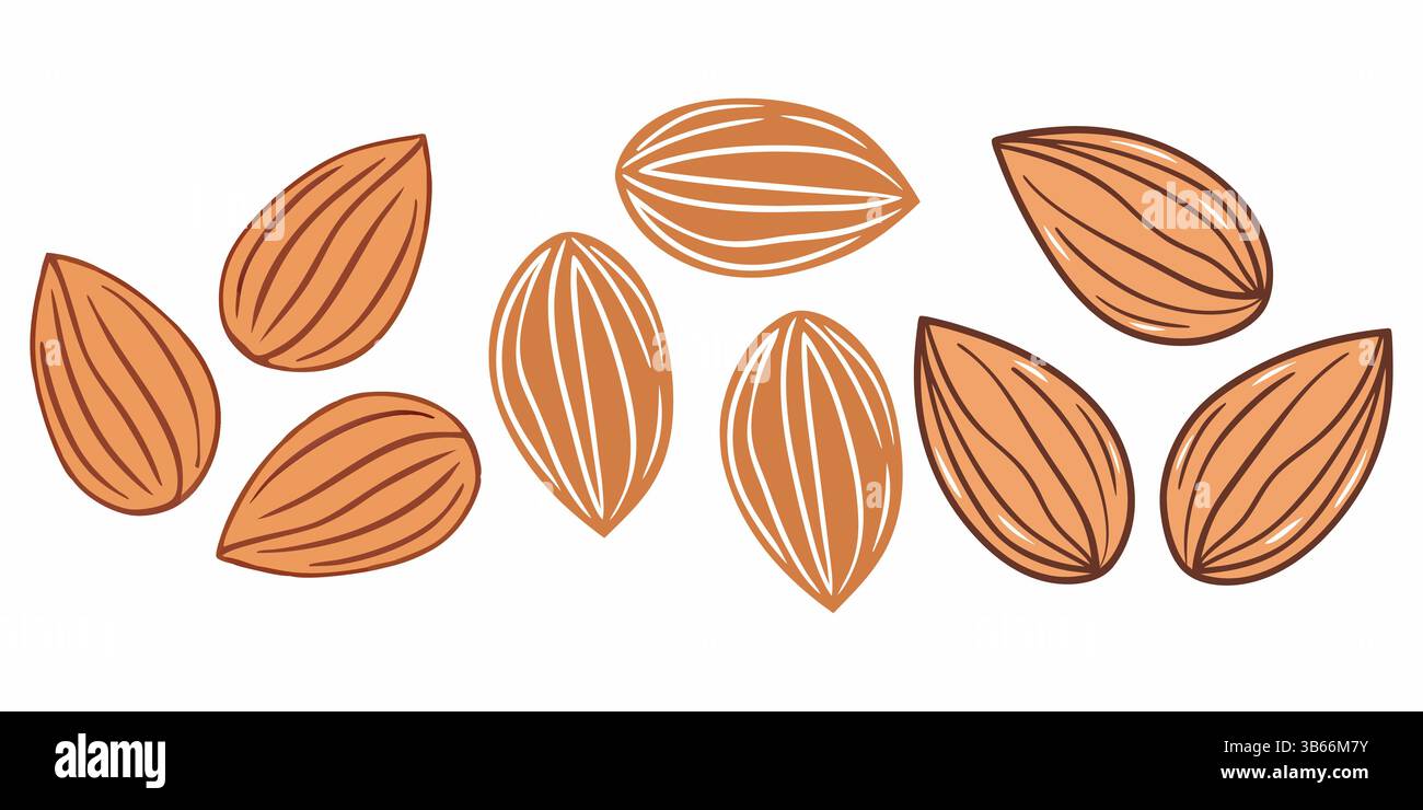 Hand-drawn Almonds, a Nutritious Snack Illustration Stock Vector
