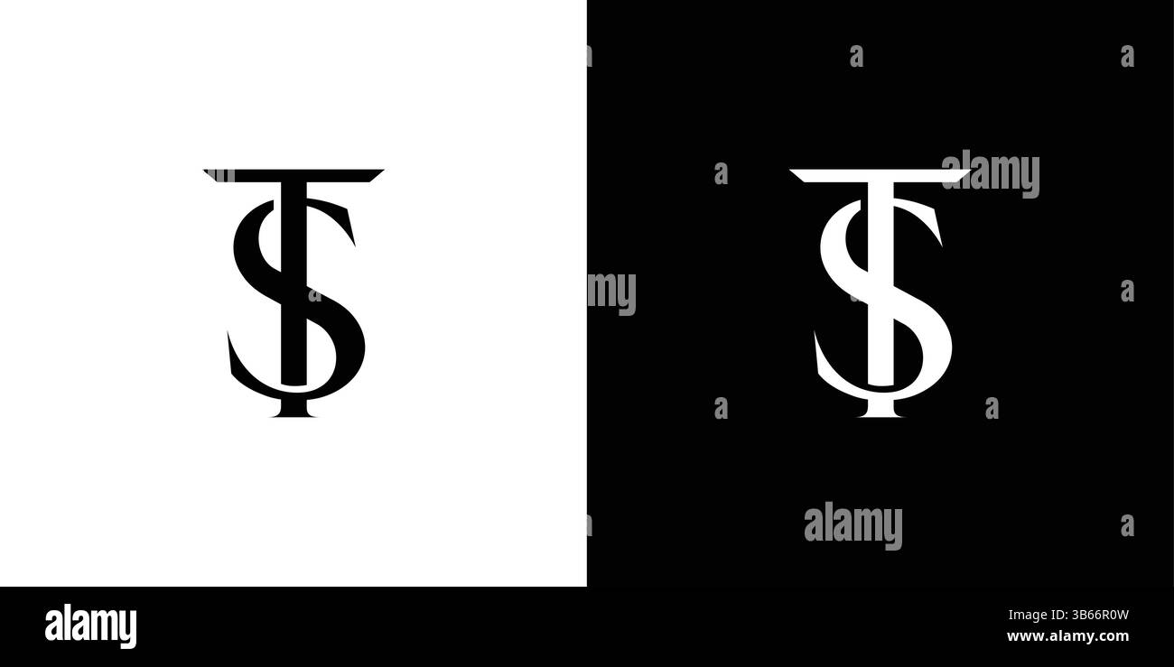 TS logo design is luxurious and professional Stock Vector