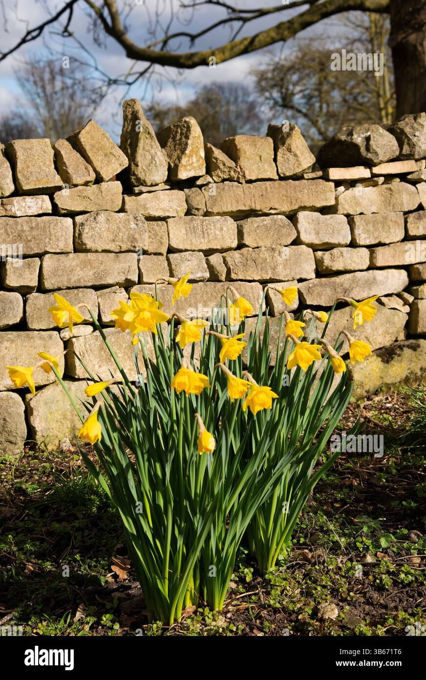 Bouquet perfect hi-res stock photography and images - Alamy