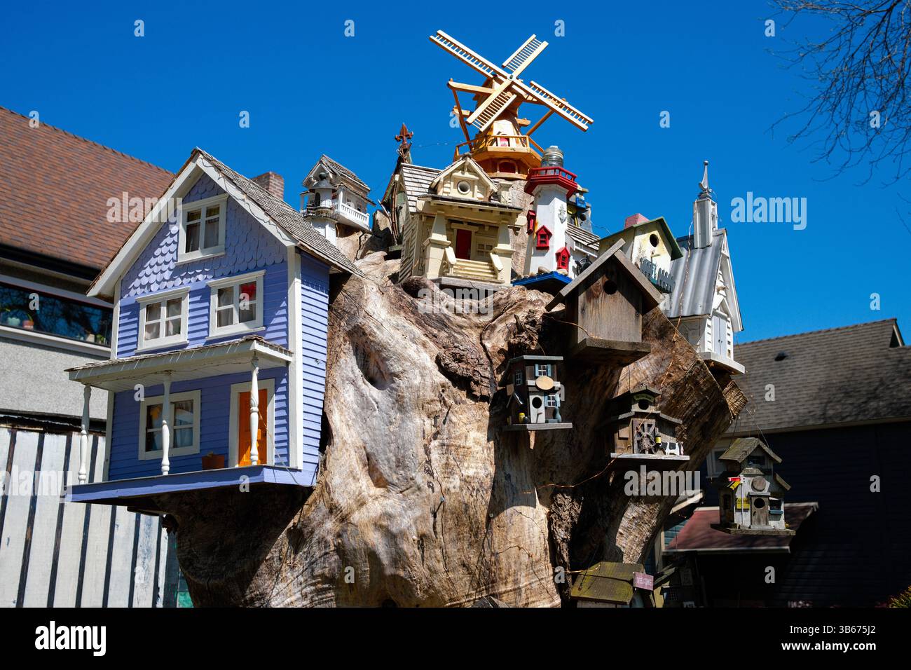 A creative assortment of birdhouses in Strathcona, Vancouver, BC. Stock Photo