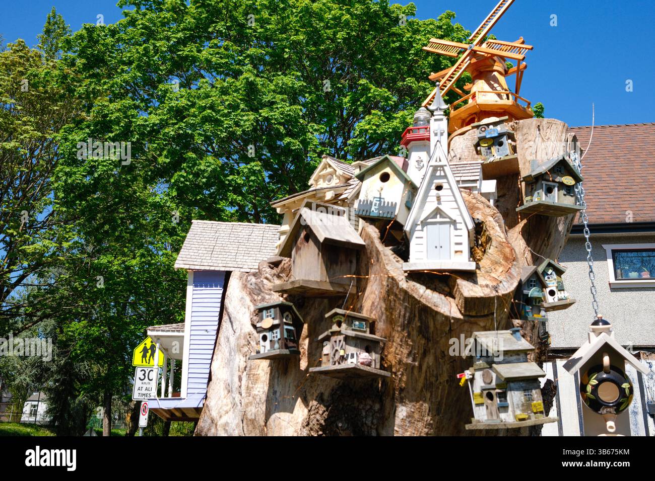 A creative assortment of birdhouses in Strathcona, Vancouver, BC. Stock Photo