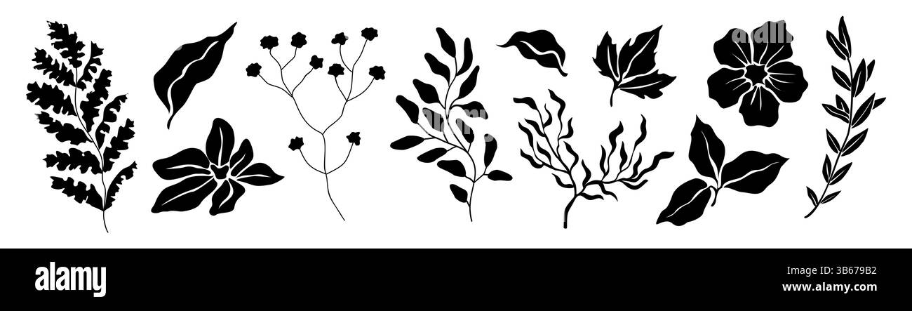 Set of flower and leaves black silhouettes Stock Vector Image & Art - Alamy