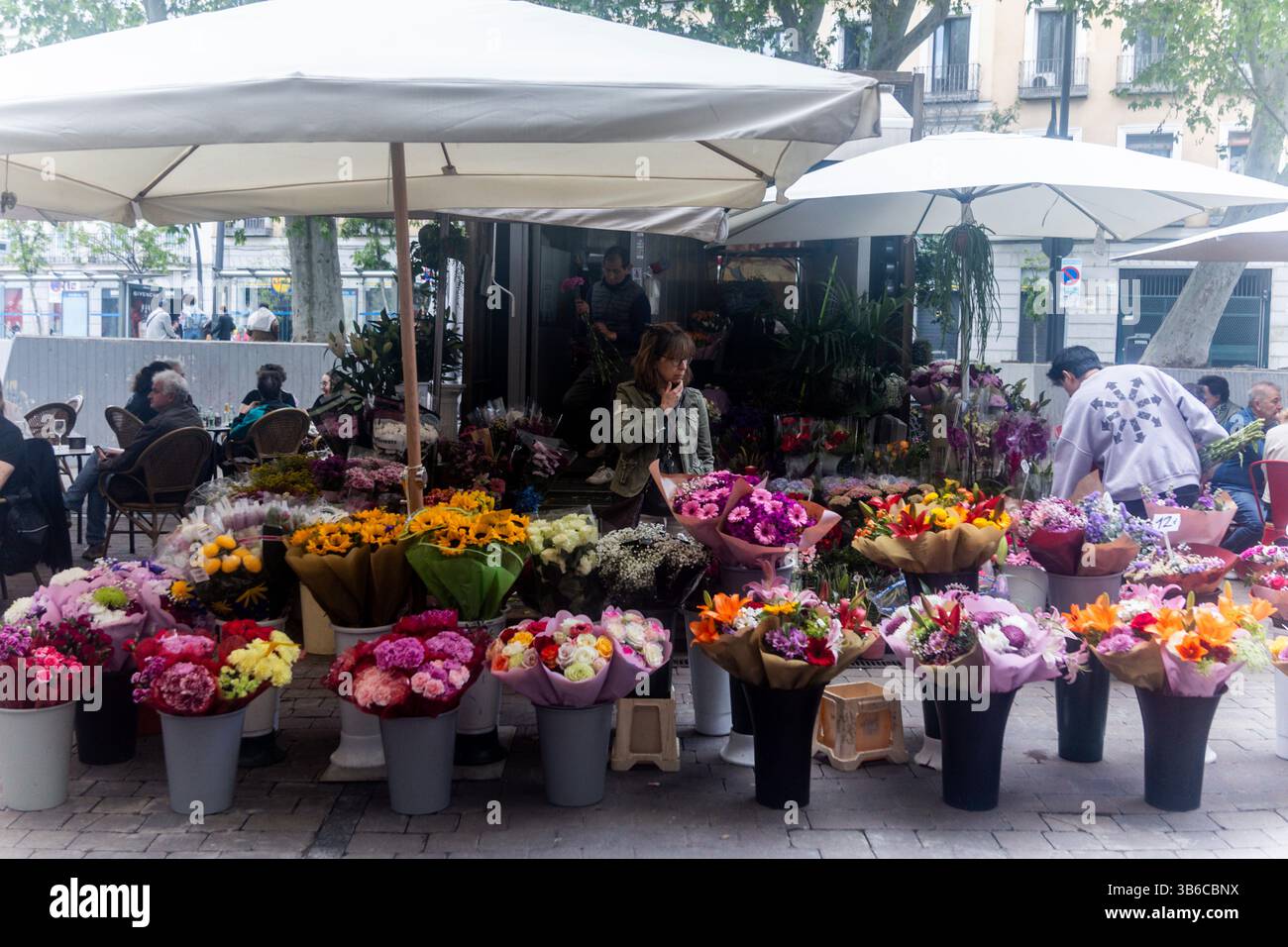 Several People At A Stall In The Tirso De Molina Flower Market On May 3 several-people-at-a-stall-in-the-tirso-de-molina-flower-market-on-may-3