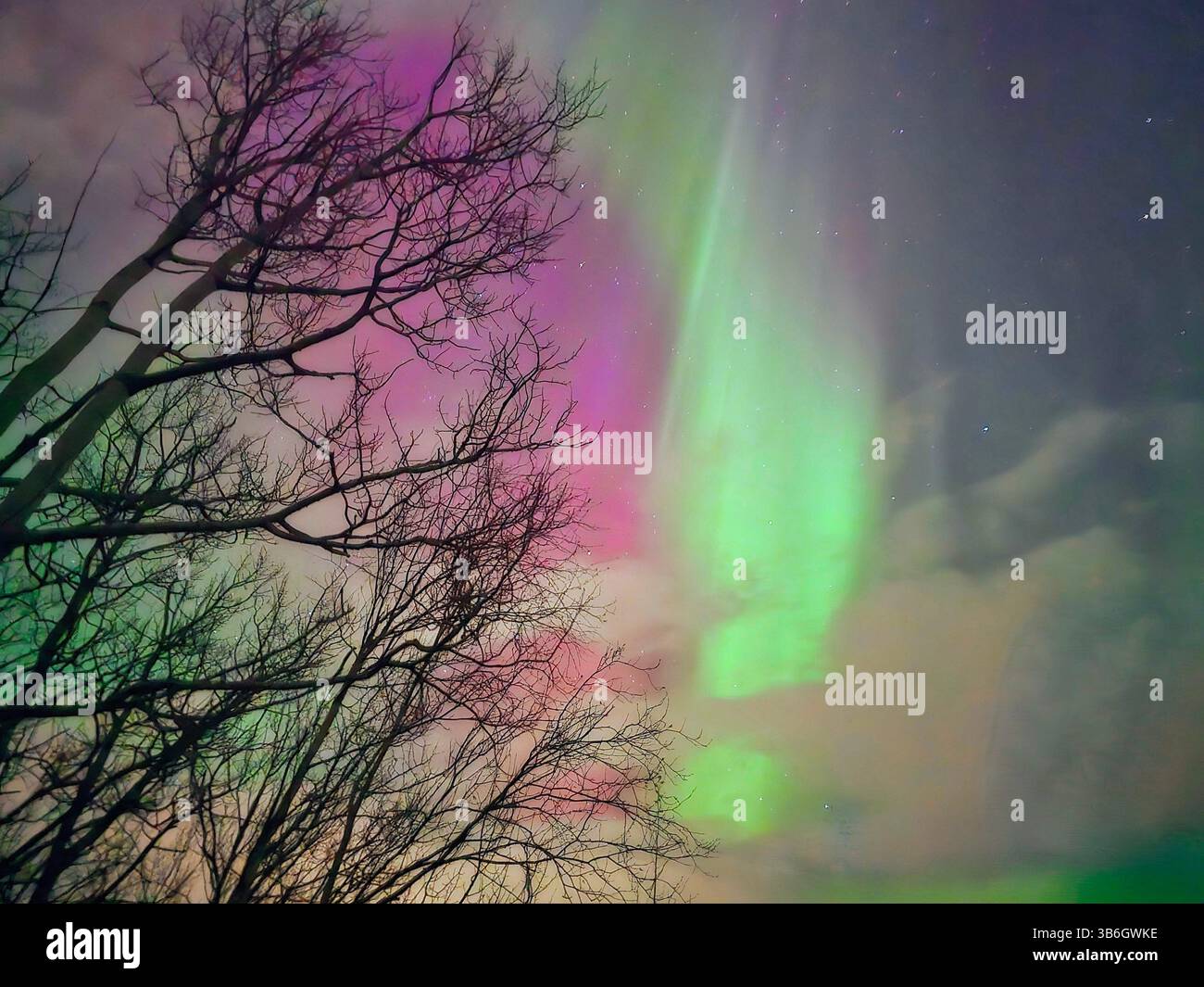 Winter northern lights - Smartphone Captured Stock Image