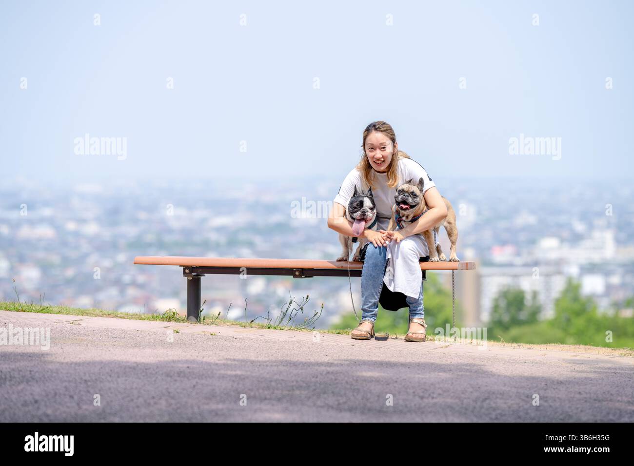 On a summer morning in a park with blooming hydrangeas, a Japanese woman in her 30s walks two French Bulldogs. They sit on a hilltop bench, overlookin Stock Photo