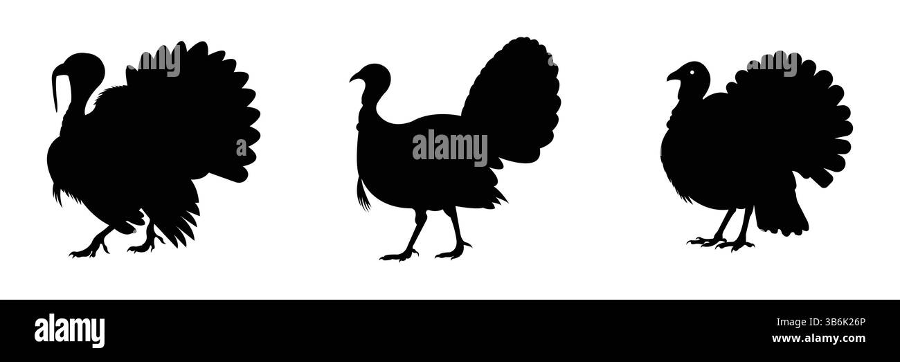 Turkey Silhouettes – Set of Three Wild Turkey Bird Outlines Stock Vector