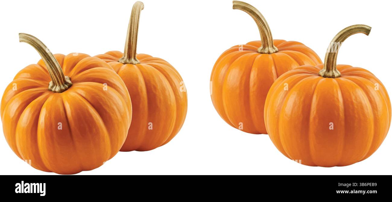 Clean plain vector Cut Out Stock Images & Pictures - Alamy