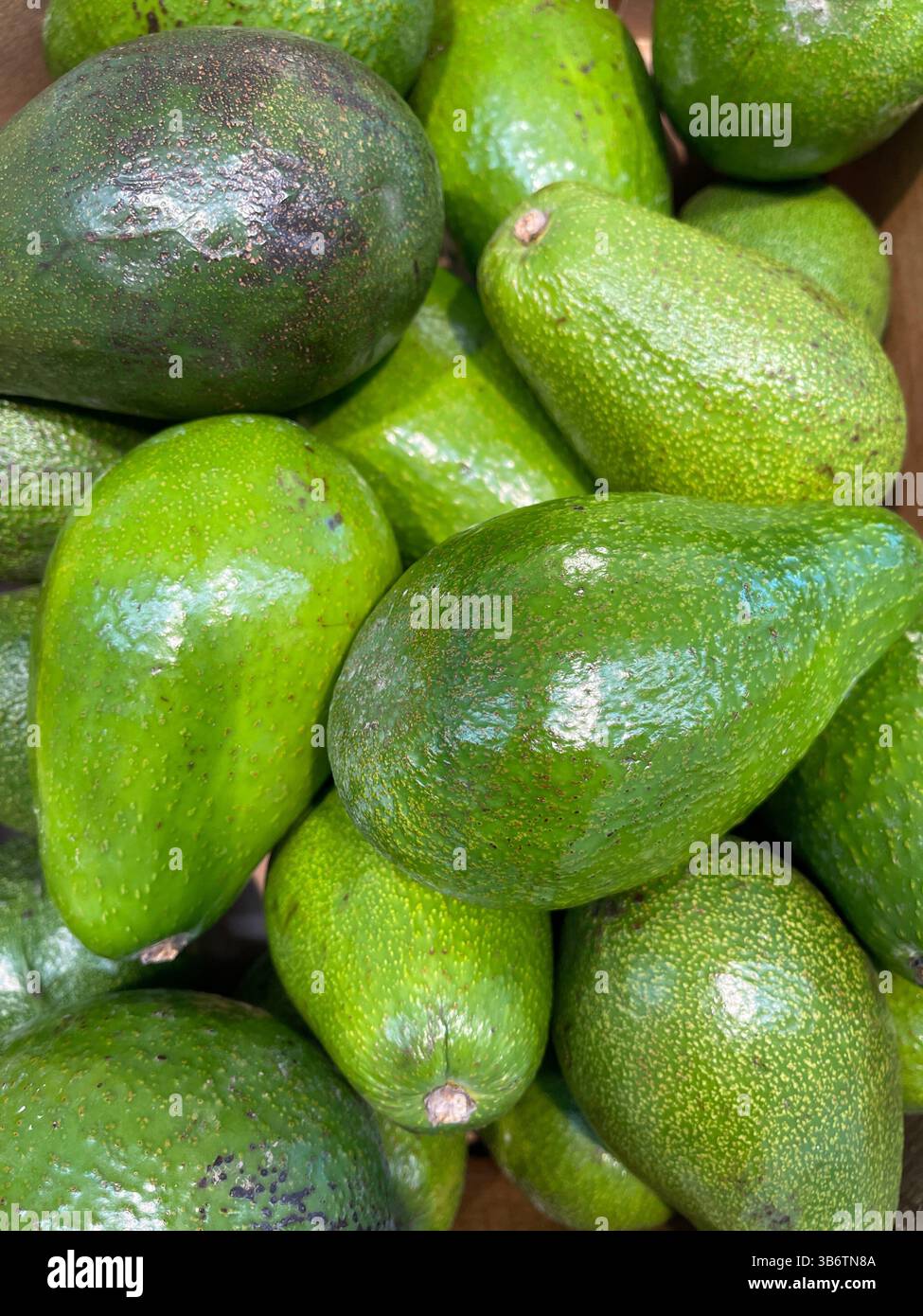 avocado - Smartphone Captured Stock Image