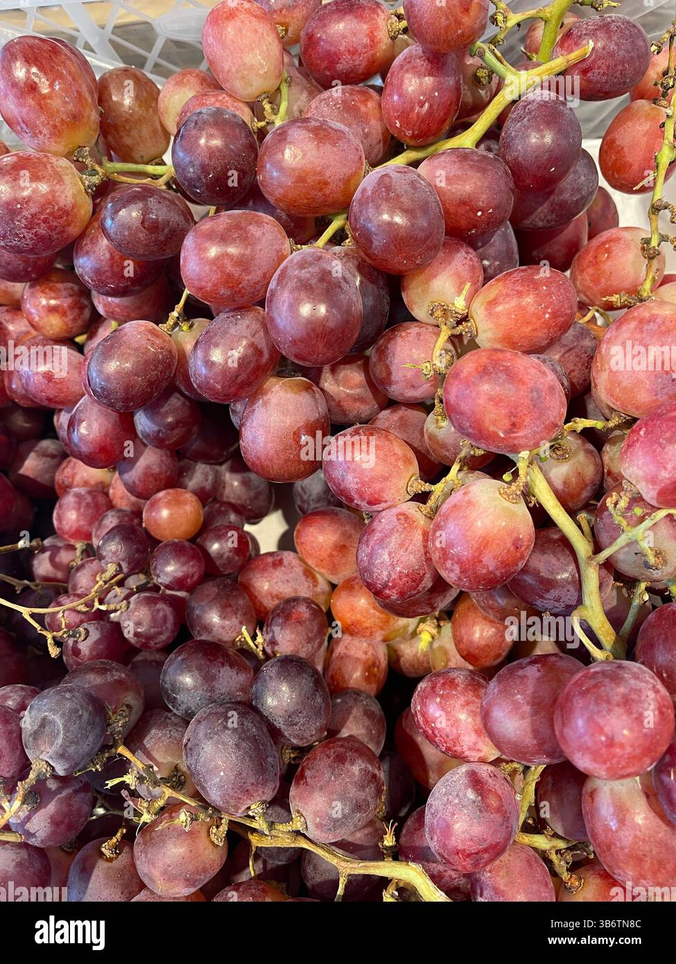 grape - Smartphone Captured Stock Image