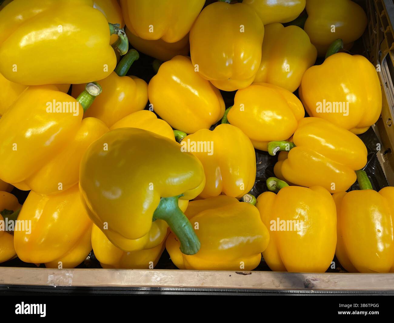 bell pepper - Smartphone Captured Stock Image
