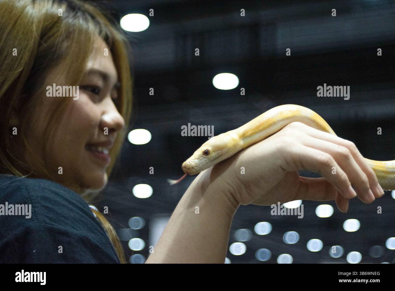 Bangkok, Thailand. 04th May, 2025. A visitor looks at a ball python ...