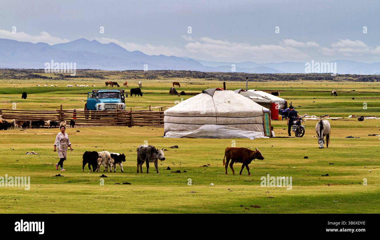 Mongolian Yurt and Camp of nomadic people Stock Photo - Alamy