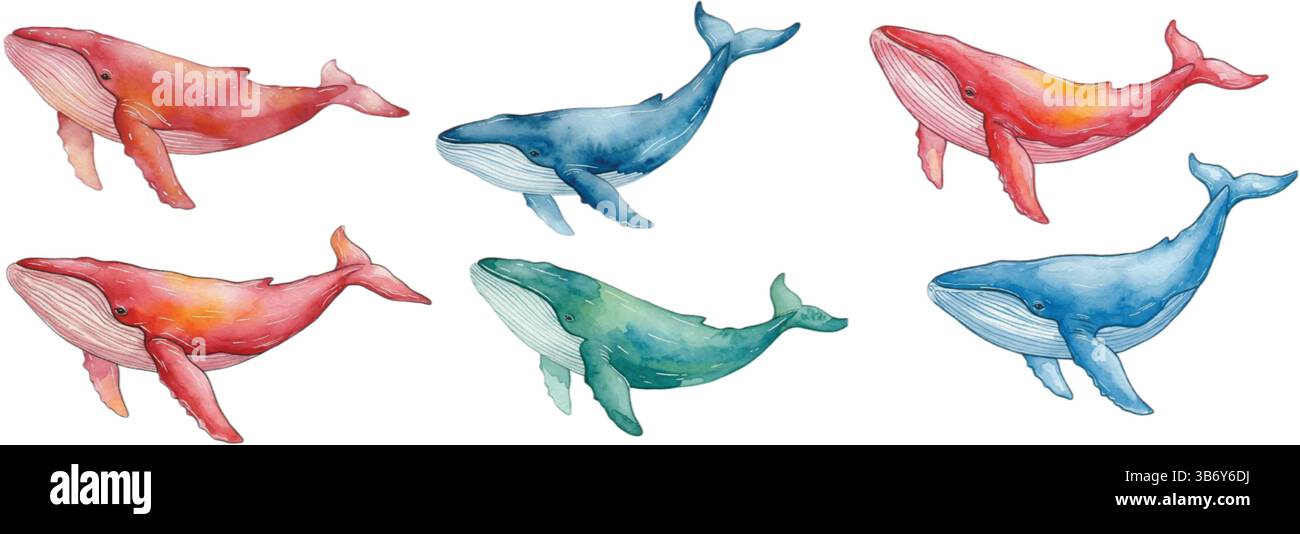 Watercolor set of six beautiful and vibrant whales isolated on white ...