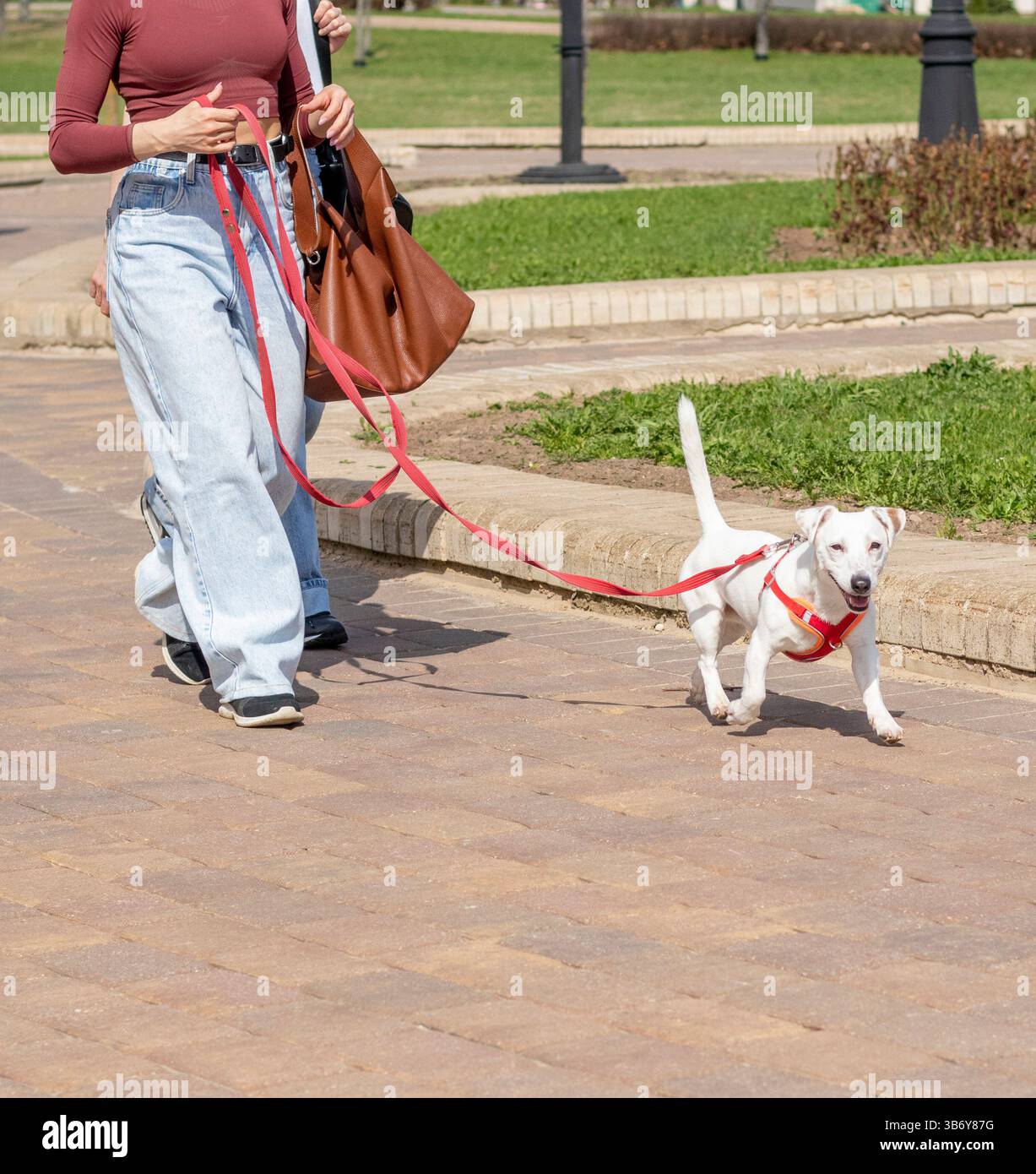 Woman outdoors in green park hi-res stock photography and images - Alamy