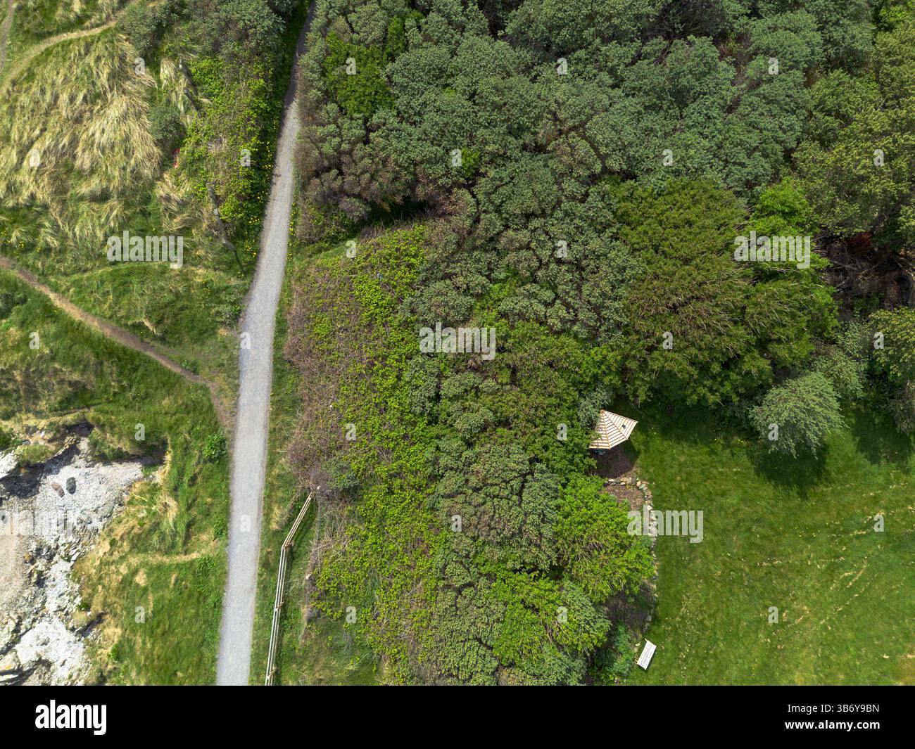 top-down view of path runs through a forest Stock Photo