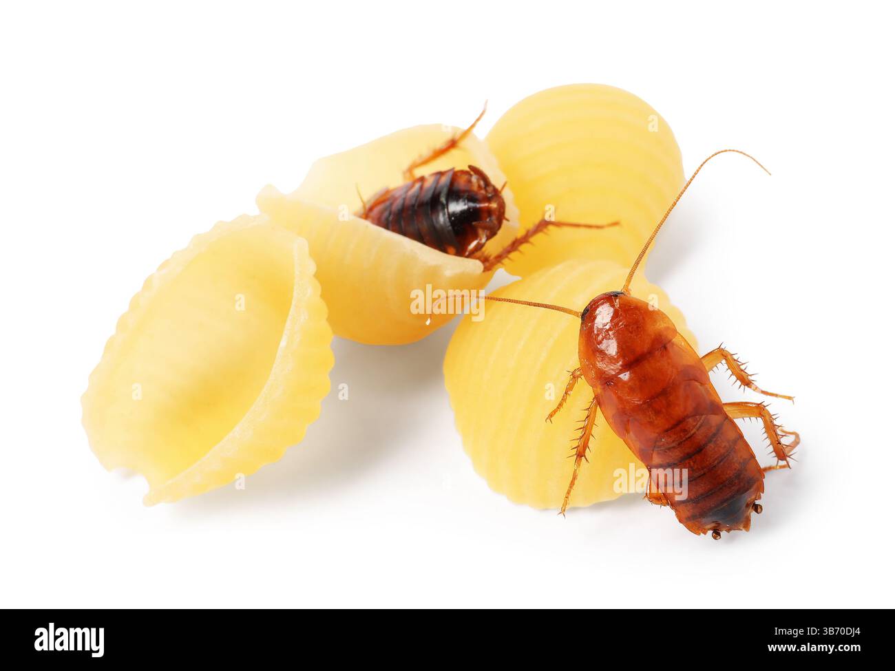 Uncooked pasta against white Cut Out Stock Images & Pictures - Alamy