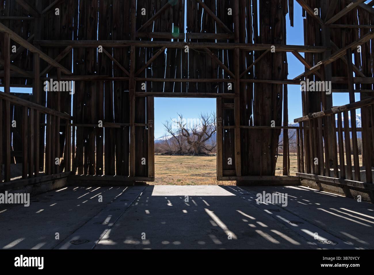 view out old broken down barn door from the interior Stock Photo