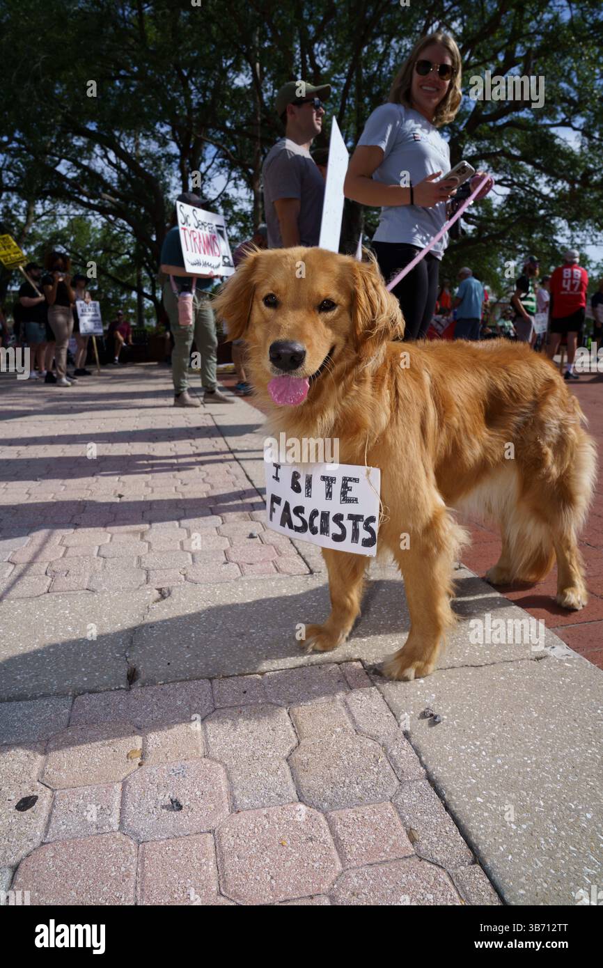 Protesting Dogs St Petersburg, Florida, USA. 3rd May, 2025. A Dog Wears A Protest Sign ...