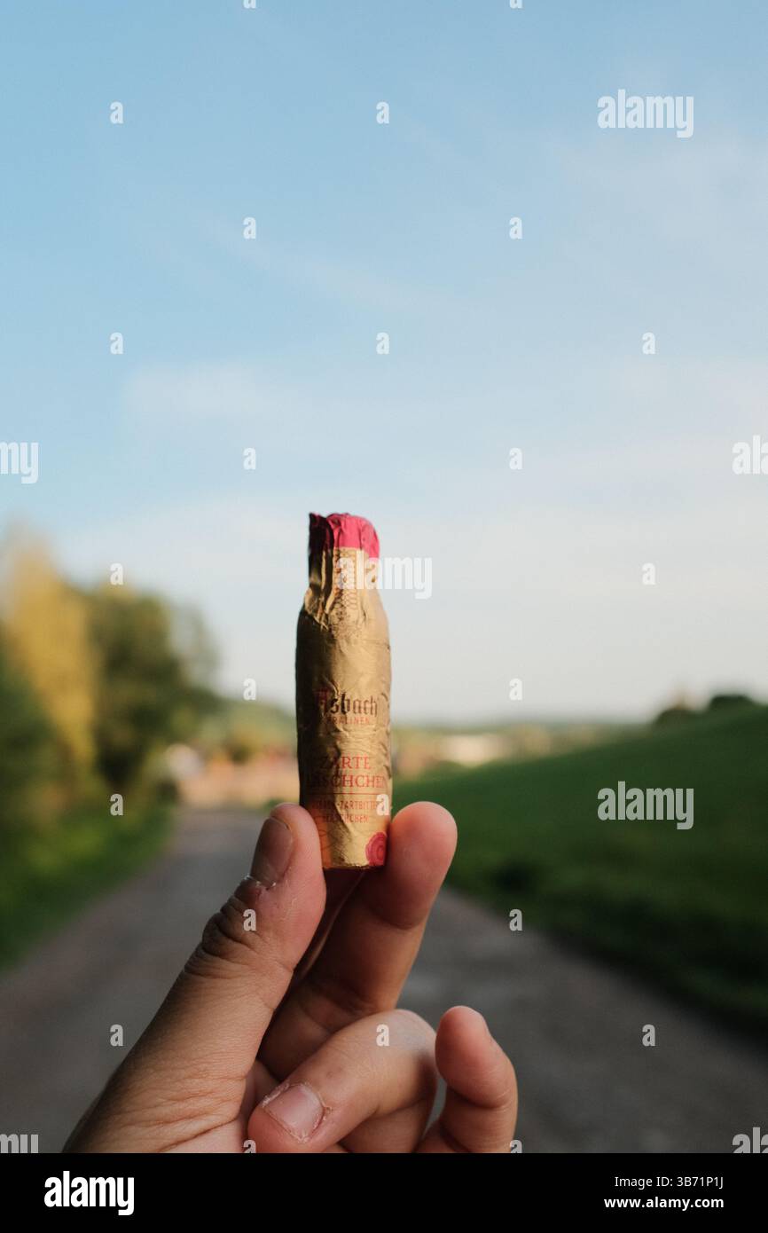 hands holding biscuit sticks or cookies outdoors with green landscape in background during sunny day. High quality photo Stock Photo