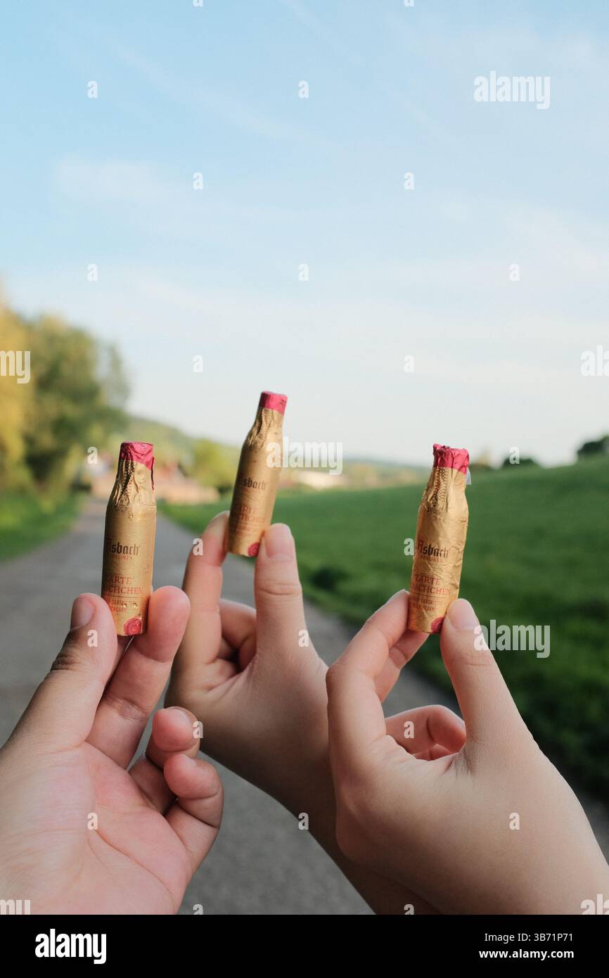 hands holding biscuit sticks or cookies outdoors with green landscape in background during sunny day. High quality photo Stock Photo