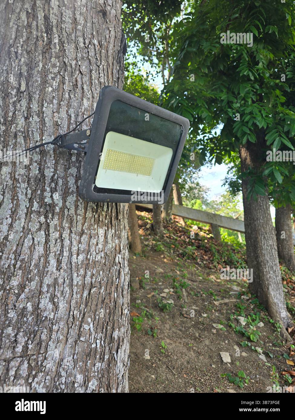 A bright outdoor led security light fixture attached to a textured tree bark providing focused illumination in a natural setting - Smartphone Captured Stock Image