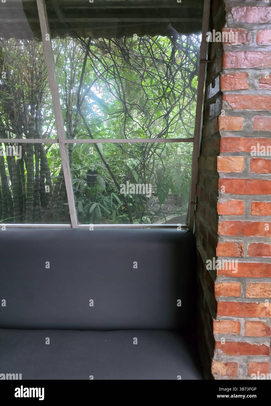 Cozy indoor seating area with a view of lush green foliage outside - Smartphone Captured Stock Image